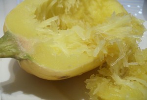 Spaghetti Squash 037